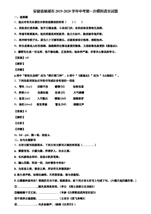 安徽省巢湖市2019-2020学年中考第一次模拟语文试题含解析