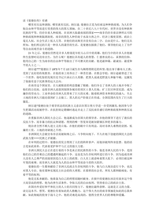 曼德拉观后感