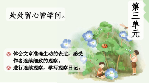 部编版小学四年级语文上册《古诗三首》公开课课件