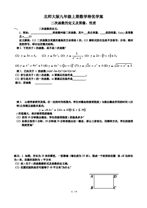 北师大版九年级上期数学培优学案