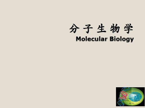 分子生物学ppt课件