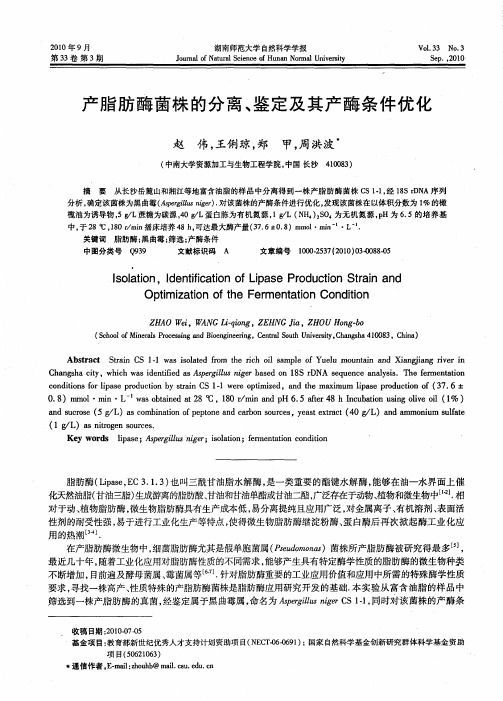 产脂肪酶菌株的分离、鉴定及其产酶条件优化