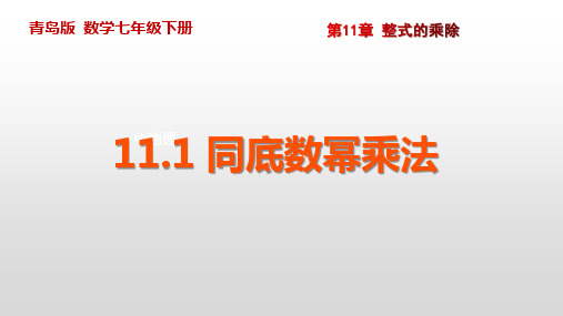 11.1同底数幂的乘法-青岛版七年级数学下册课件