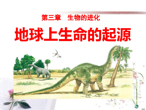 《地球上生命的起源》生物的进化3PPT课件  图文