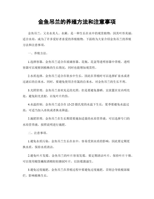 金鱼吊兰的养殖方法和注意事项