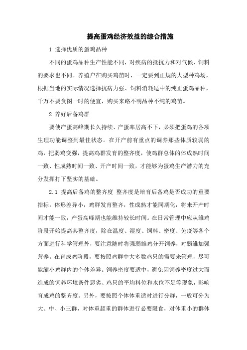 提高蛋鸡经济效益的综合措施