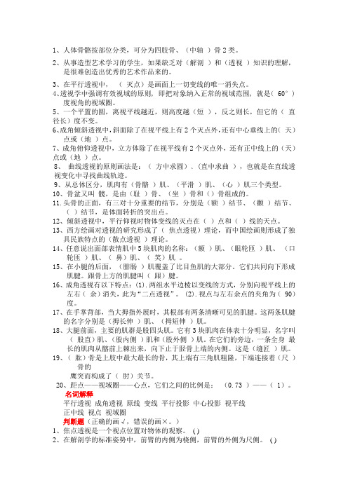 透视解剖