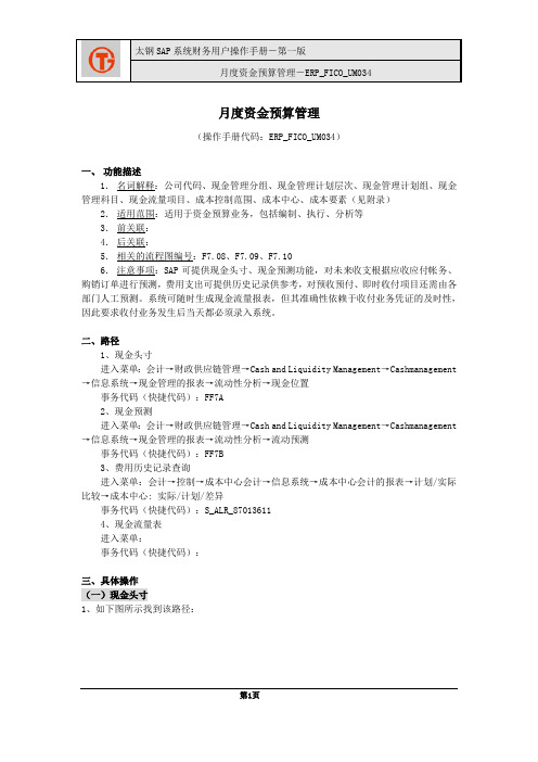 194太钢SAP实施项目_用户手册_ERP_FICO_UM034月度资金预算管理用户操作手册