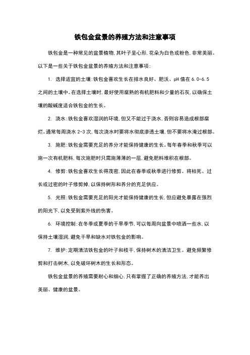 铁包金盆景的养殖方法和注意事项