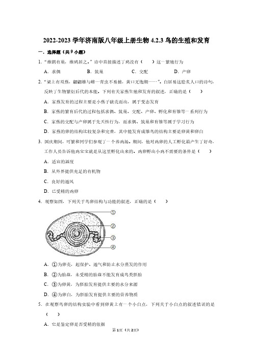 2022-2023学年济南版八年级上册生物同步练习4.2.3鸟的生殖和发育