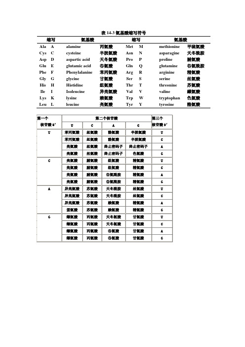 氨基酸密码子表