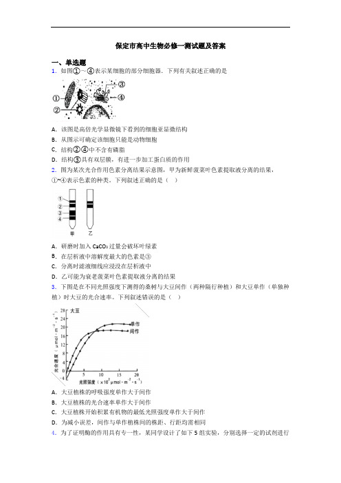 保定市高中生物必修一测试题及答案