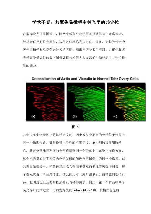 学术干货共聚焦显微镜中荧光团的共定位