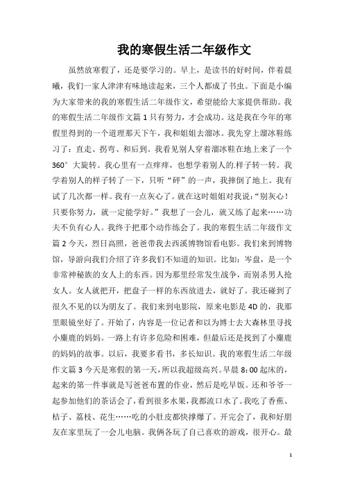 我的寒假生活二年级作文