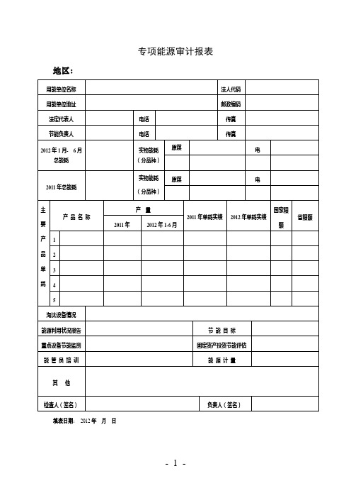 专项能源审计报表