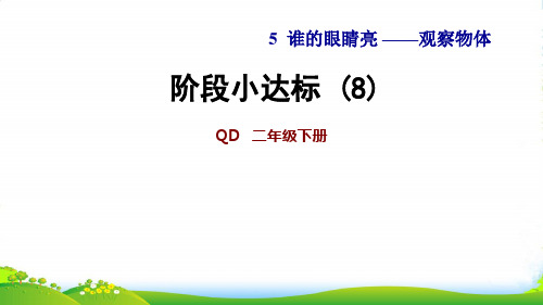 青岛版二年级下册数学课件：5 观察物体阶段小达标 (8)