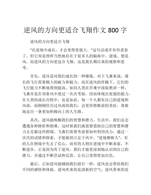 逆风的方向更适合飞翔作文800字