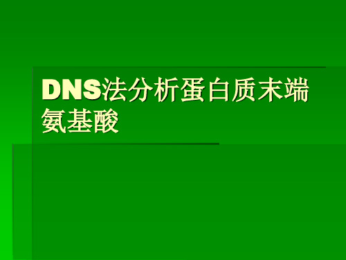 DNS法分析蛋白质末端氨基酸