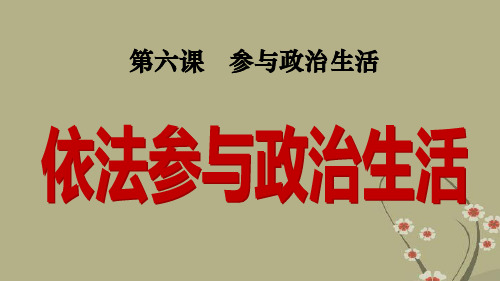 人教版九年级思想品德全册单课件-政治生活件新人.ppt