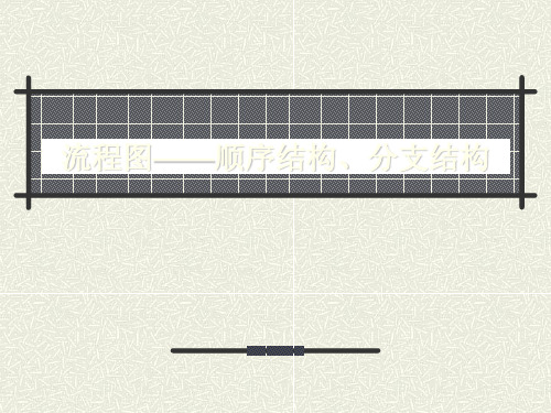 流程图顺序结构,分支结构 ppt课件