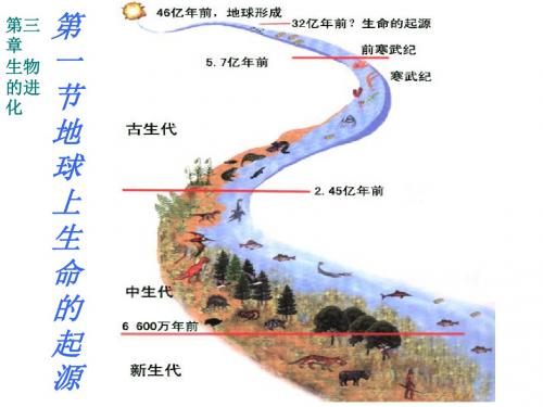人教版生物八年级下册 第七单元第三章生命起源和生物进化第一节地球上生命的起源(共31张PPT)(共31张PPT)