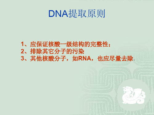 DNA提取及常见问题解决方案