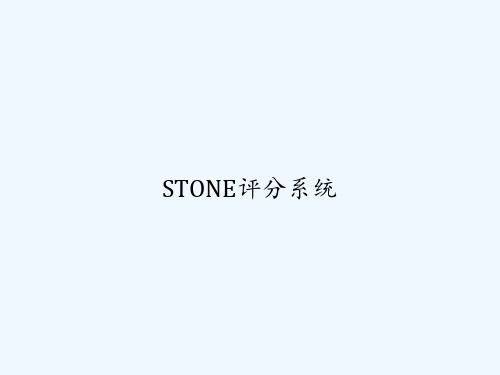 STONE评分系统 PPT