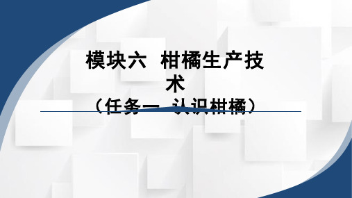 《作物生产技术》课程教学课件-6.1.2柑橘的生物学特性 课件