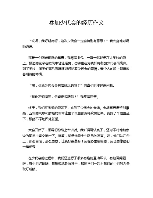 参加少代会的经历作文