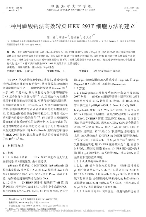 一种用磷酸钙法高效转染HEK293T细胞方法的建立_陈晓