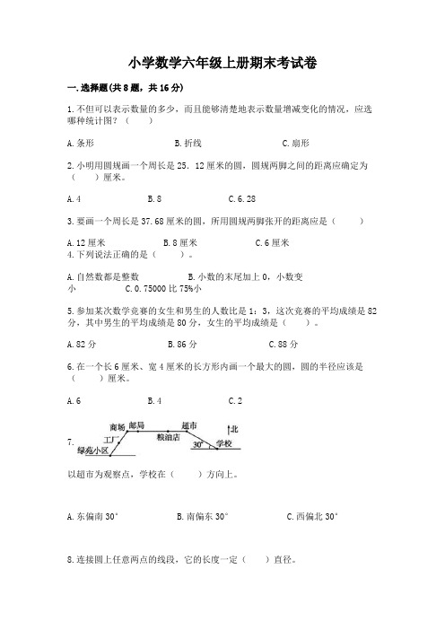 小学数学六年级上册期末考试卷含答案(夺分金卷)