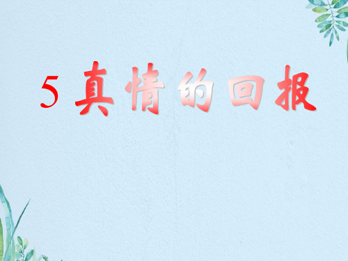真情的回报ppt