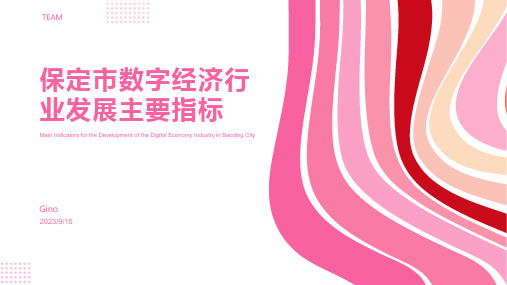 2023年河北省保定市数字经济行业发展主要指标报告模板