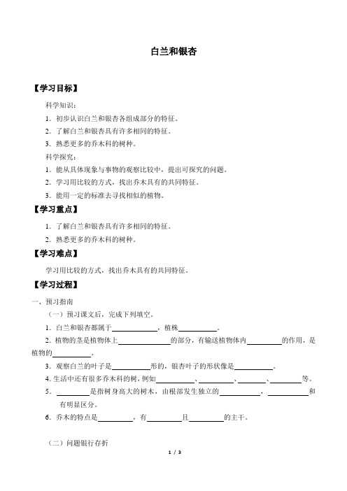 四年级科学下册学案-1.白兰和银杏-粤教版(2017)