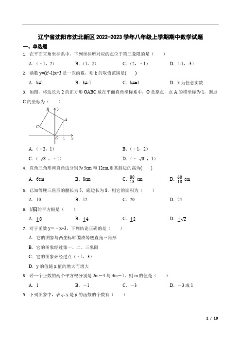 辽宁省沈阳市沈北新区2022-2023学年八年级上学期期中数学试题