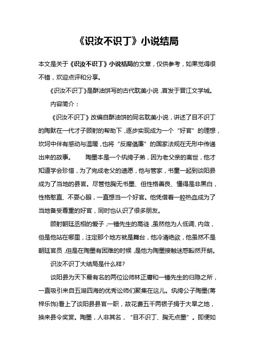 《识汝不识丁》小说结局