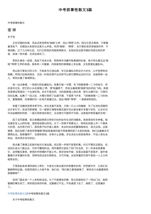 中考叙事性散文3篇