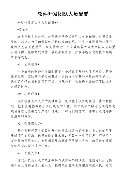 软件开发团队人员配置