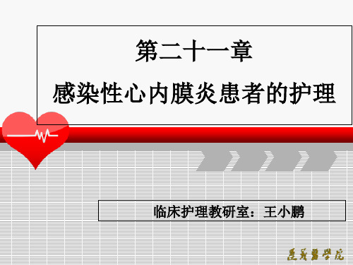 《成人护理学》第二十一章感染性心内膜炎患者的护理PPT课件