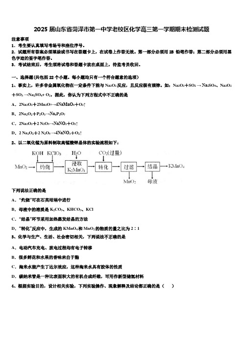 2025届山东省菏泽市第一中学老校区化学高三第一学期期末检测试题含解析