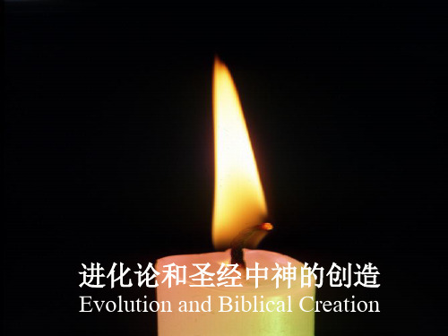 03_Evolution_and_Gods_Creation进化论和神的创造