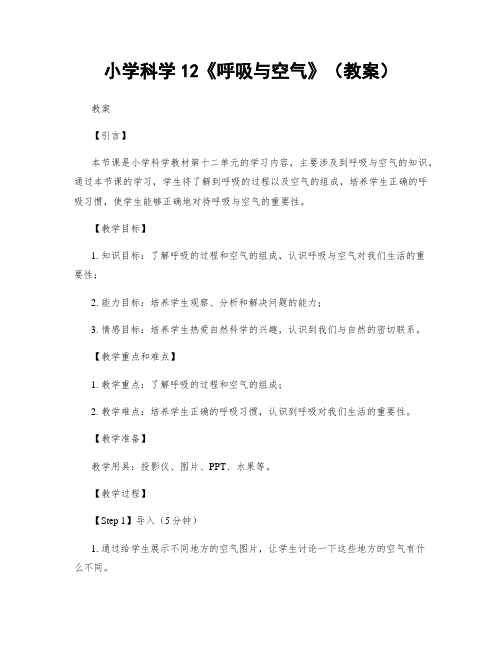 小学科学12《呼吸与空气》(教案)