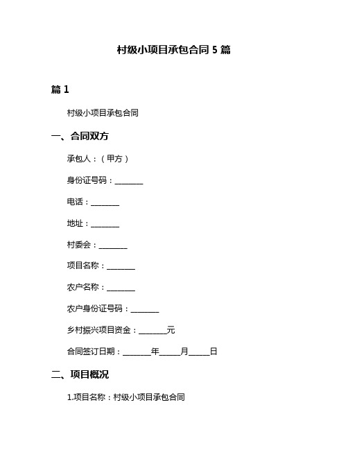 村级小项目承包合同5篇