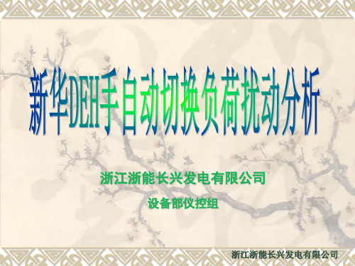 新华DEH手自动切换扰动分析