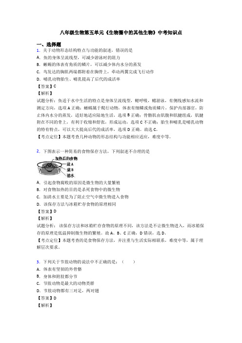 八年级生物第五单元《生物圈中的其他生物》中考知识点