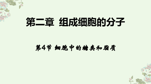 高考生物复习细胞中的糖类和脂质