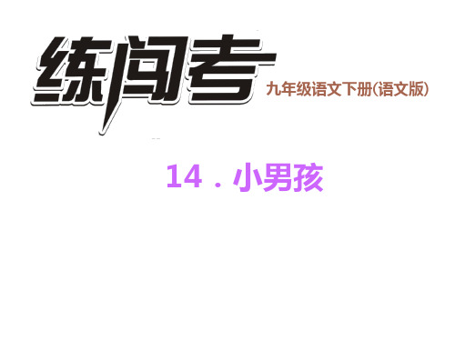九年级语文下册(语文版)习题课件 14.小男孩15张ppt