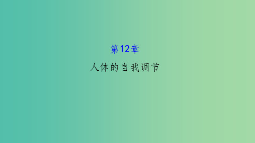 七年级生物下册 第12章 人体的自我调节复习课件 北师大版