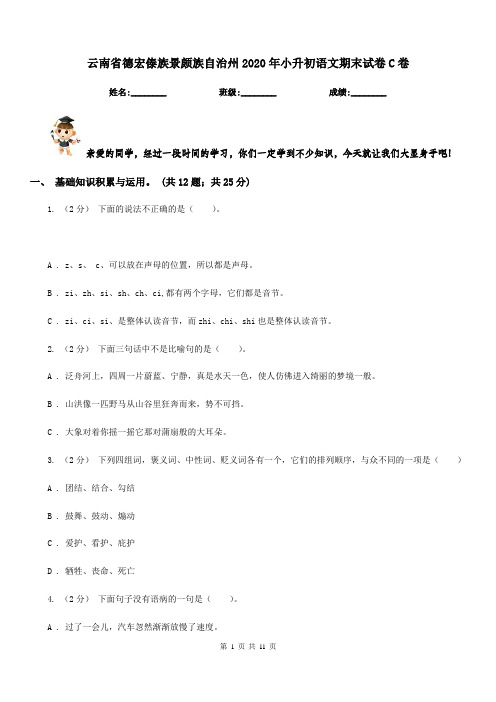 云南省德宏傣族景颇族自治州2020年小升初语文期末试卷C卷