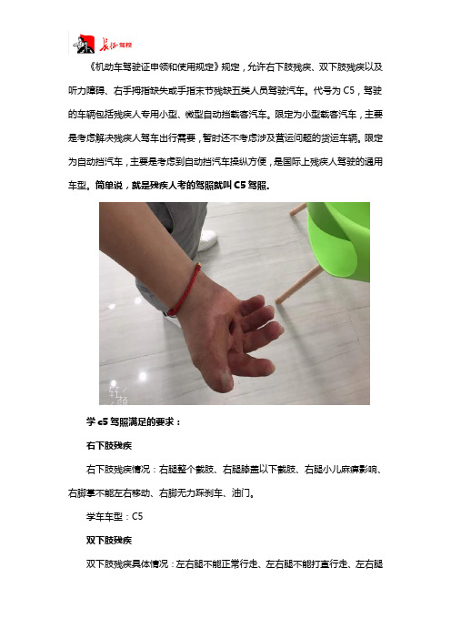 什么是c5驾照